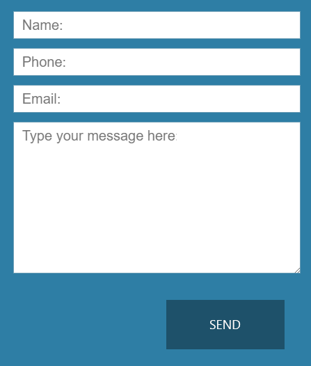 Form with placeholder text instead of actual labels